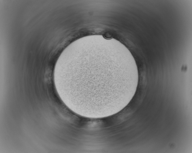 X0000113940274200910231950