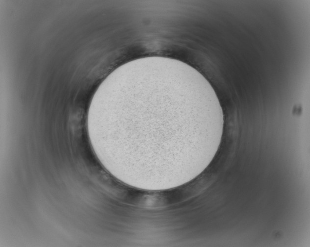 X0000113940275200910231950