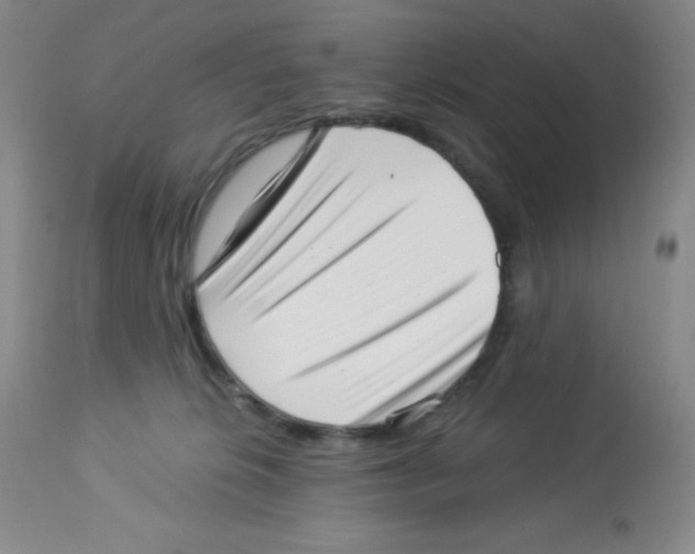 X0000113940276200910231950