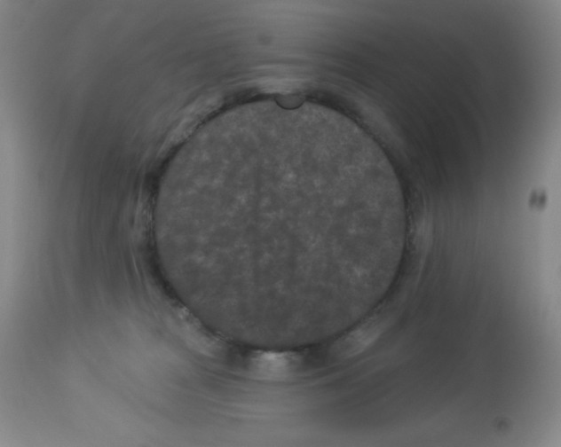 X0000113940277200910231950