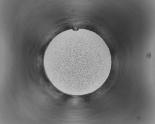 X0000113940278200910231950