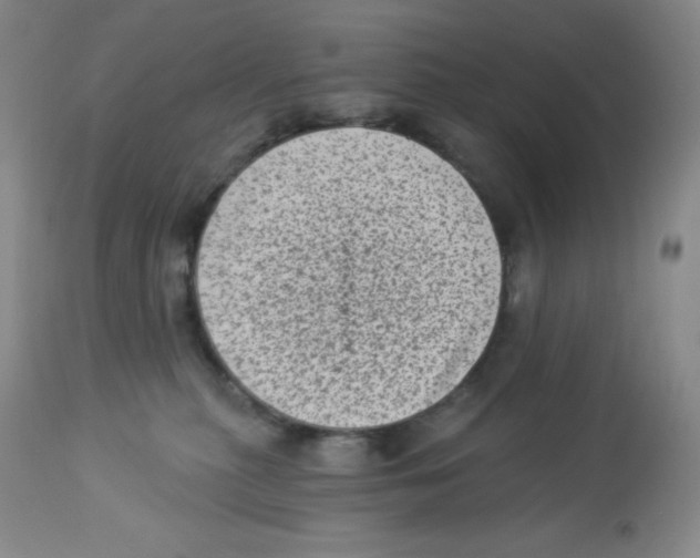 X0000113940279200910231950