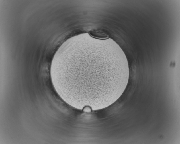 X0000113940280200910231950