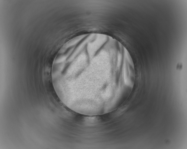 X0000113940281200910231950