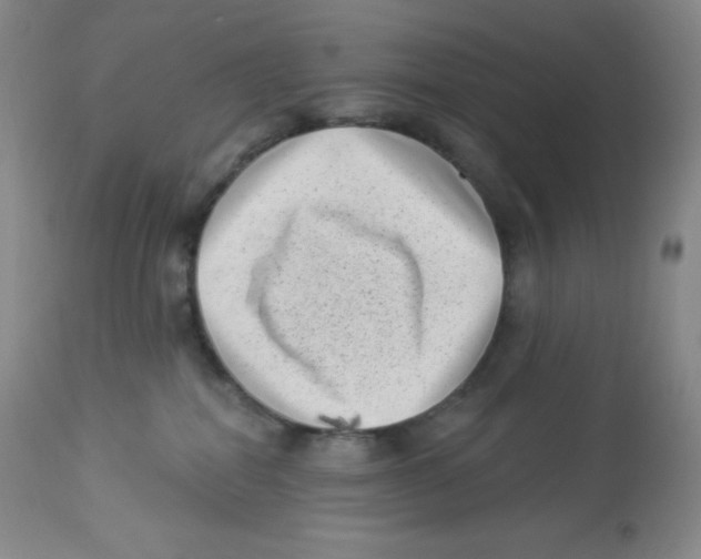 X0000113940282200910231950