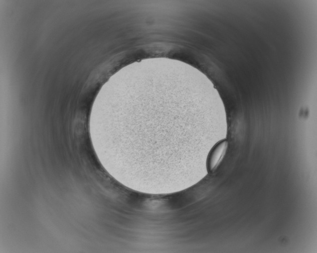 X0000113940283200910231950