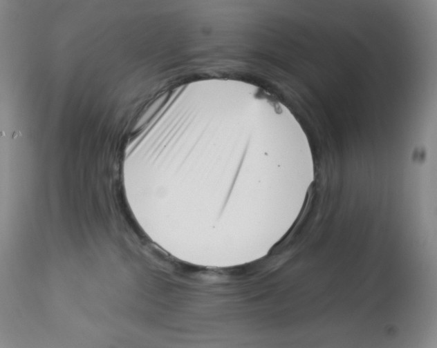X0000113940284200910231950