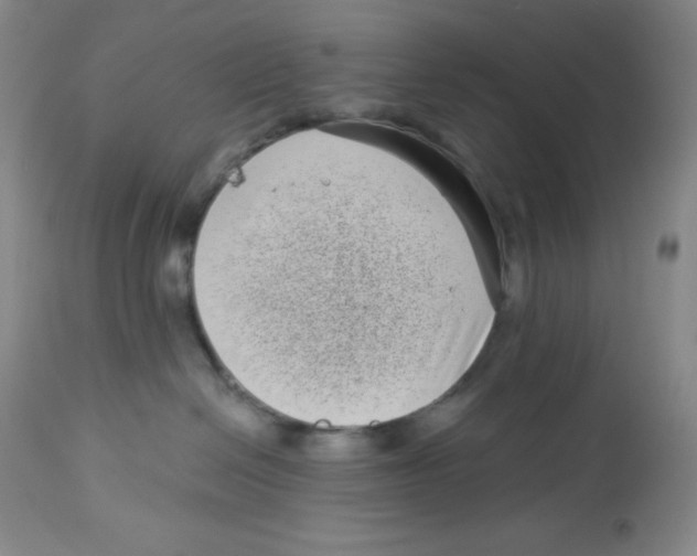 X0000113940286200910231950