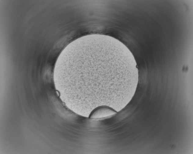 X0000113940287200910231950