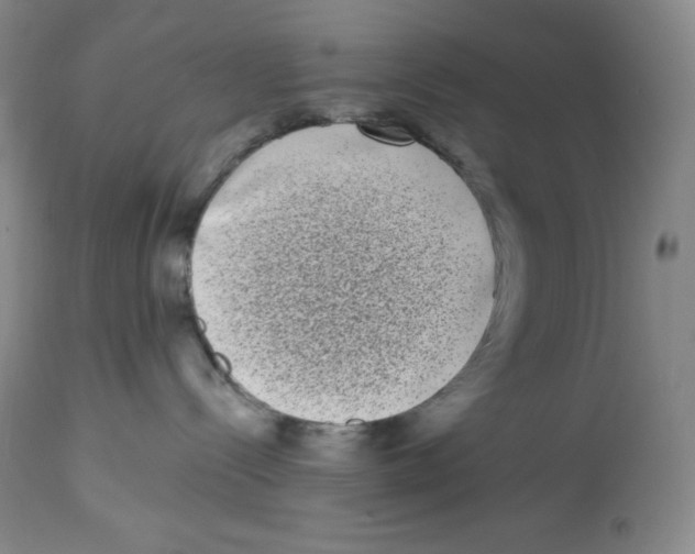 X0000113940288200910231951