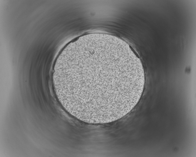 X0000113940289200910231950