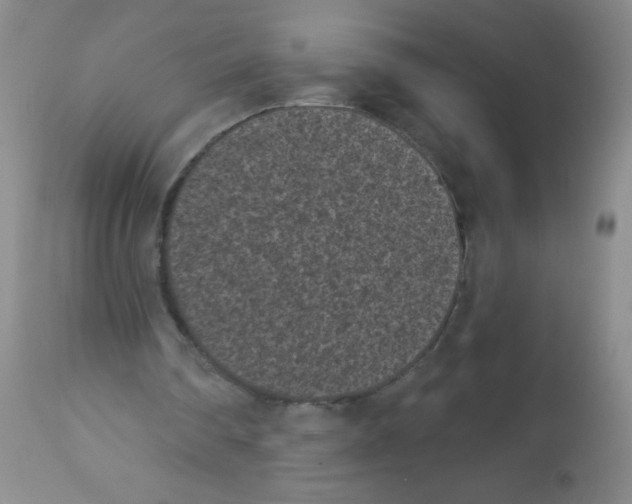 X0000113940290200910231950