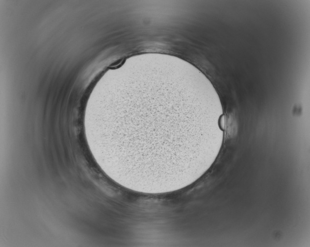 X0000113940291200910231950