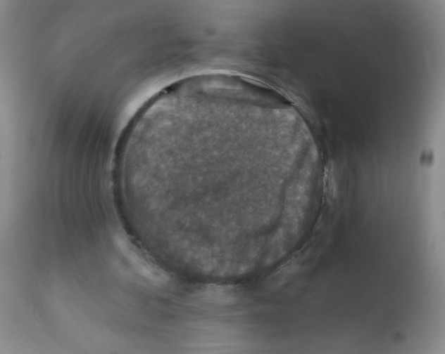X0000113940292200910231950