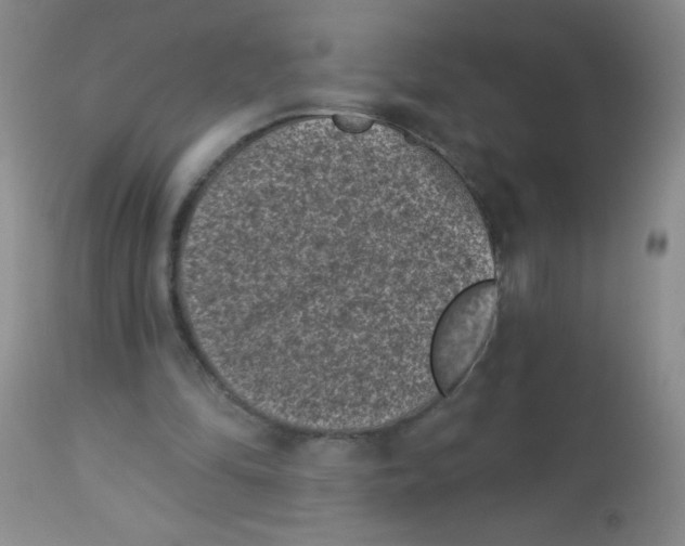 X0000113940294200910231950