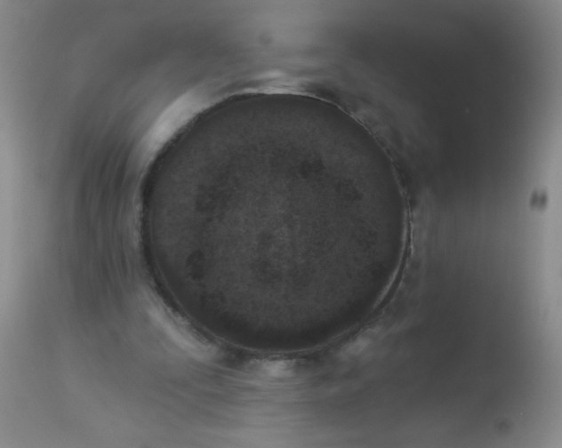 X0000113940295200910231950