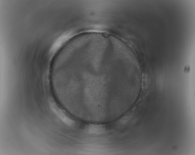 X0000113940296200910231950