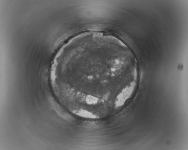 X0000113940297200910231950