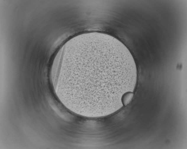 X0000113940298200910231950