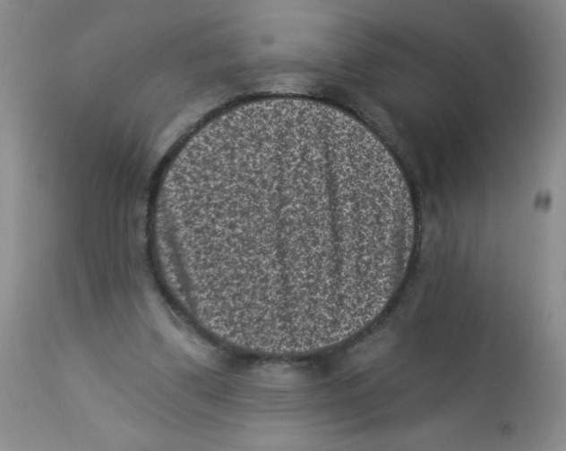 X0000113940299200910231950