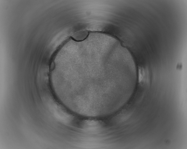 X0000113940300200910231950