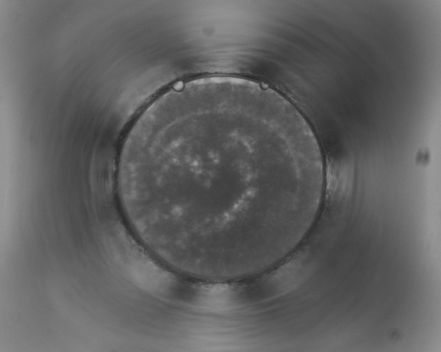 X0000113940301200910231950
