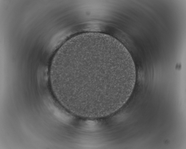 X0000113940302200910231950