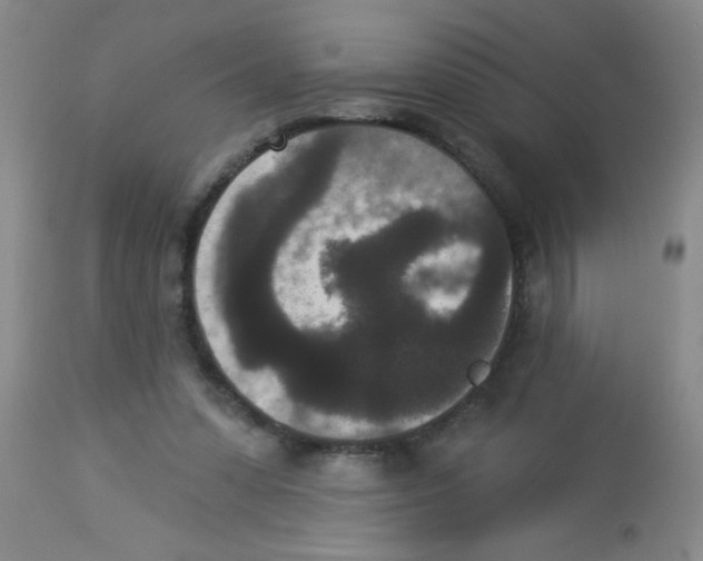 X0000113940303200910231950