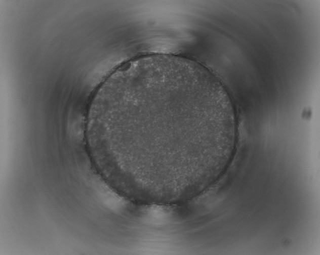 X0000113940305200910231950