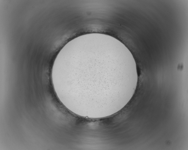 X0000113940306200910231950