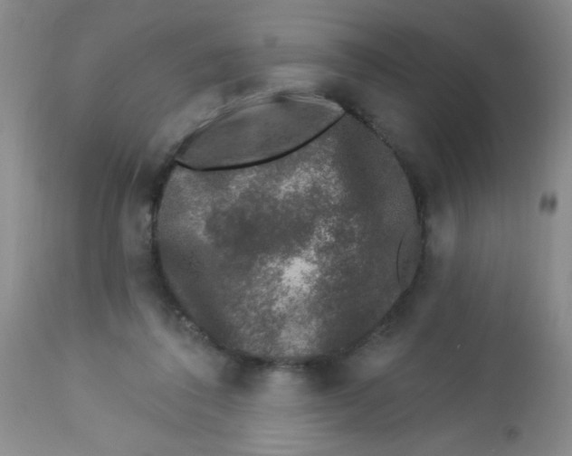 X0000113940308200910231950