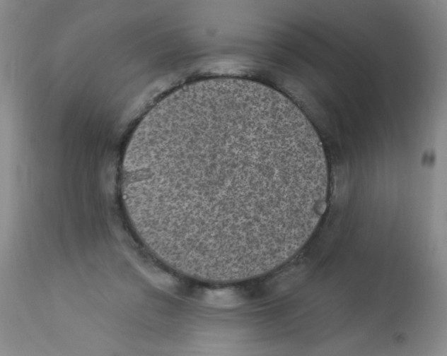 X0000113940309200910231950