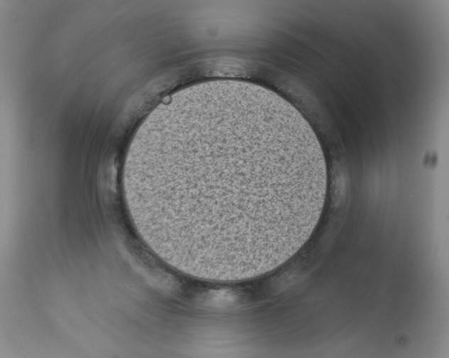 X0000113940310200910231950