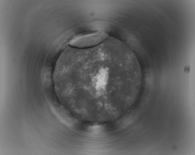 X0000113940312200910231950