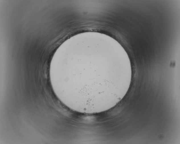 X0000113940313200910231950