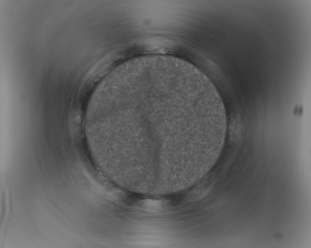 X0000113940314200910231949