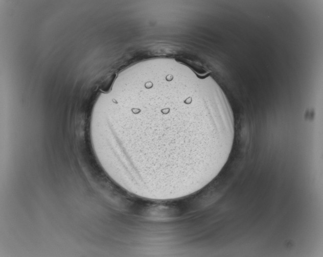 X0000113940315200910231949