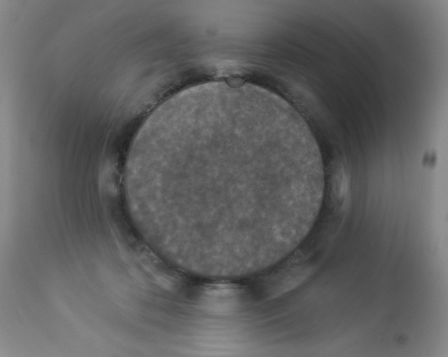X0000113940316200910231949