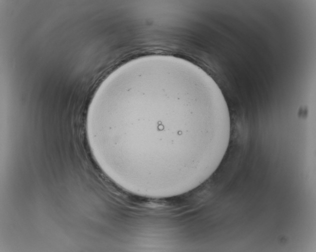 X0000113940317200910231949