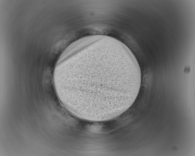X0000113940318200910231949
