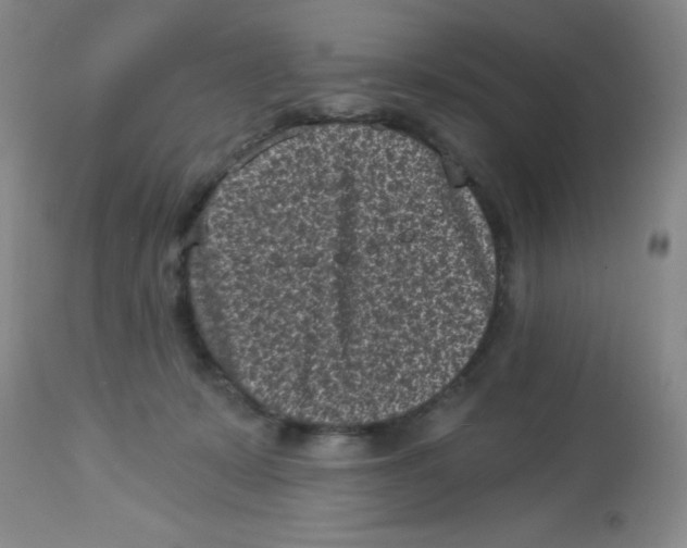 X0000113940319200910231949