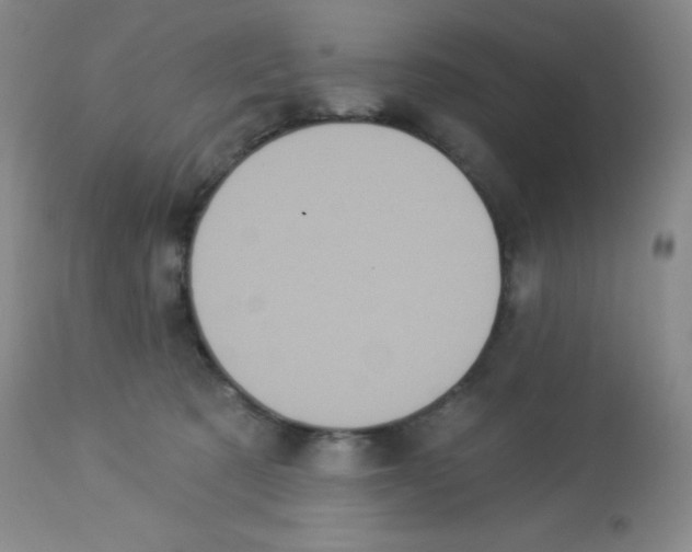 X0000113940321200910231949