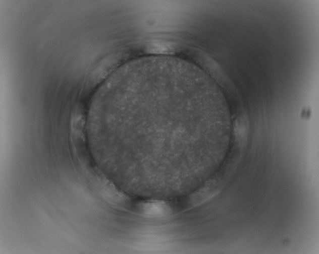 X0000113940322200910231949