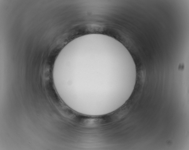 X0000113940323200910231949