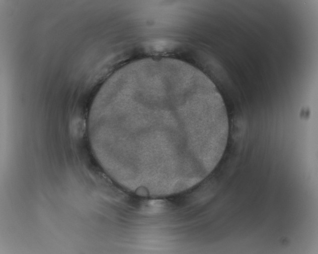 X0000113940324200910231949