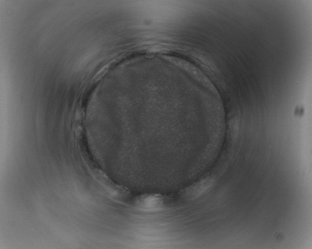 X0000113940325200910231949