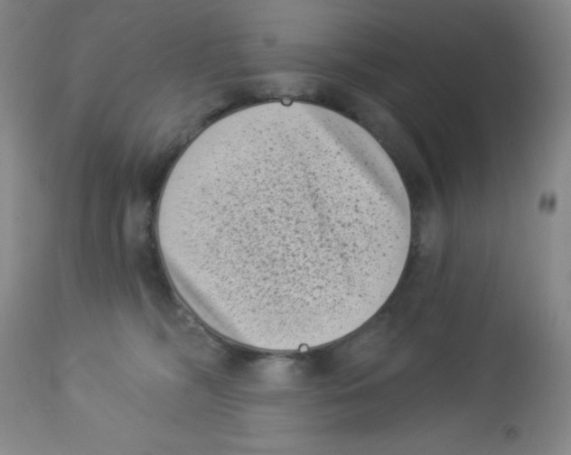 X0000113940326200910231949