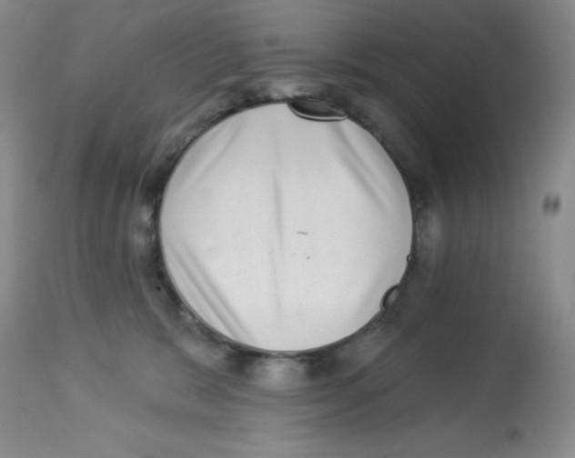 X0000113940327200910231949