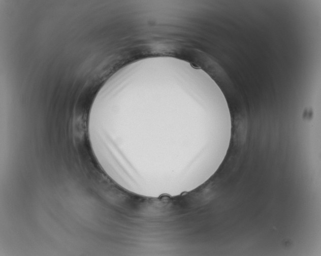 X0000113940329200910231949