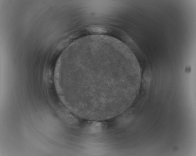 X0000113940330200910231949